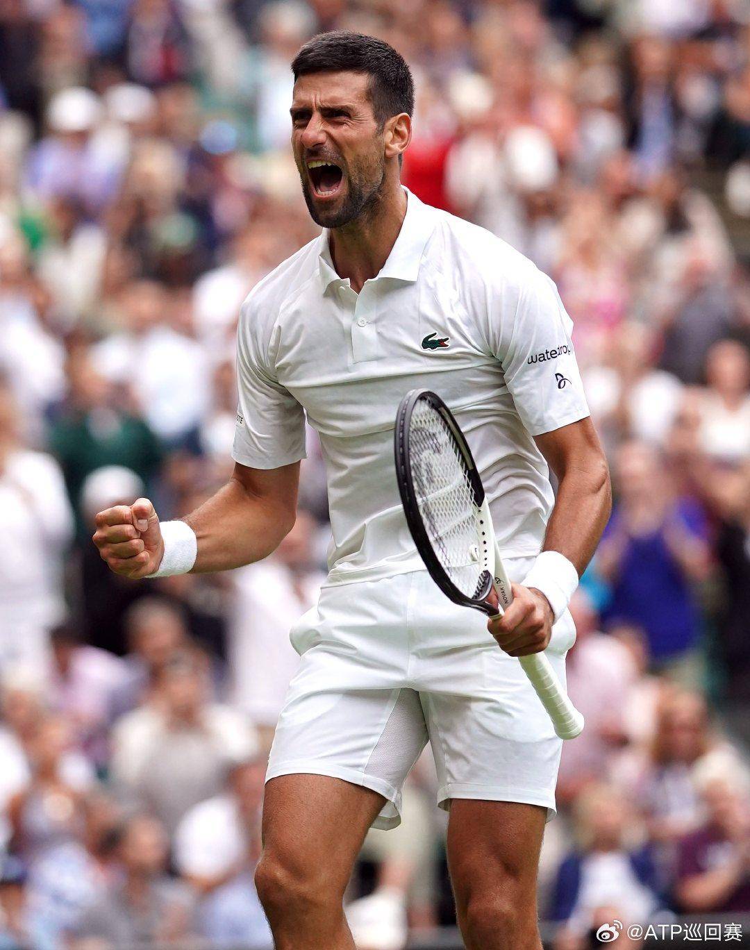 入和战术改 入和战术改