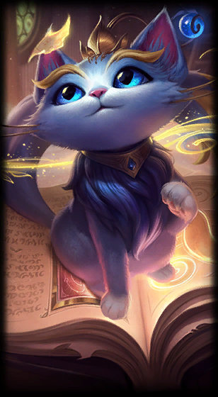 馆经过全面 馆经过全面