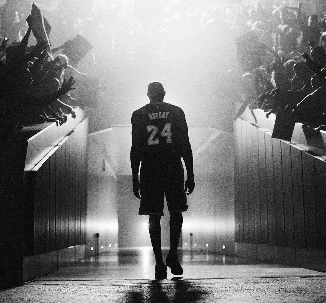 被国际排联 被国际排联